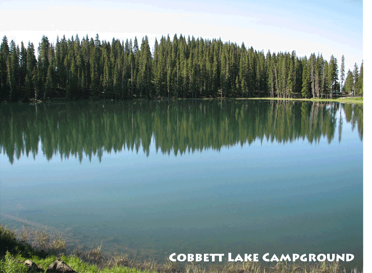 cobbett lake