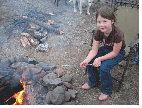 Camping and Campfire Grilling Hot Dogs